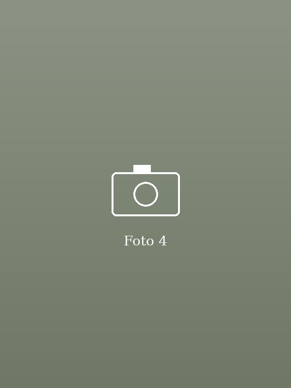 Galeri foto 4